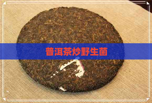 普洱茶炒野生菌