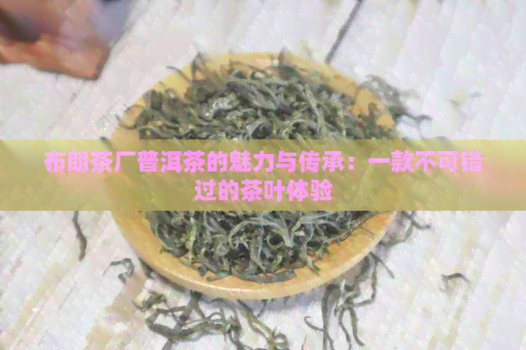 布朗茶厂普洱茶的魅力与传承：一款不可错过的茶叶体验