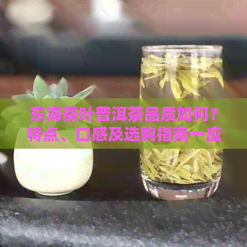 东海茶叶普洱茶品质如何？特点、口感及选购指南一应俱全！