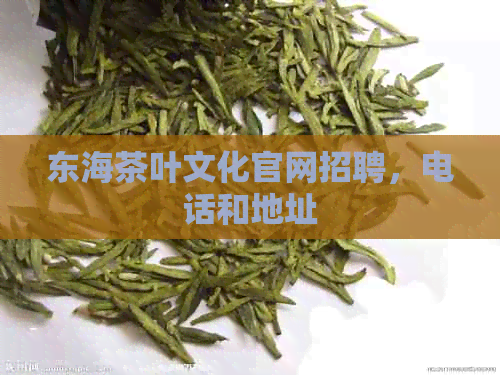 东海茶叶文化官网招聘，电话和地址