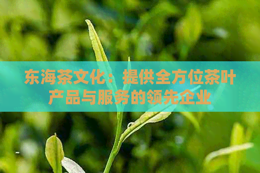 东海茶文化：提供全方位茶叶产品与服务的领先企业