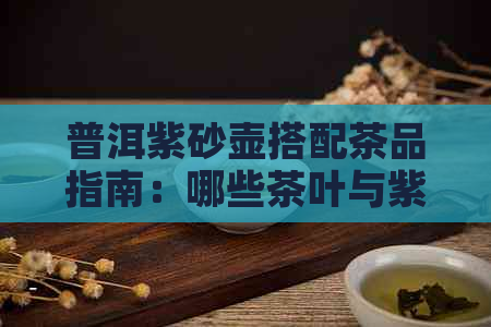 普洱紫砂壶搭配茶品指南：哪些茶叶与紫砂壶最相配？了解泡茶的选择