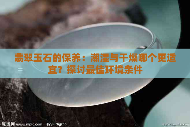 翡翠玉石的保养：潮湿与干燥哪个更适宜？探讨更佳环境条件