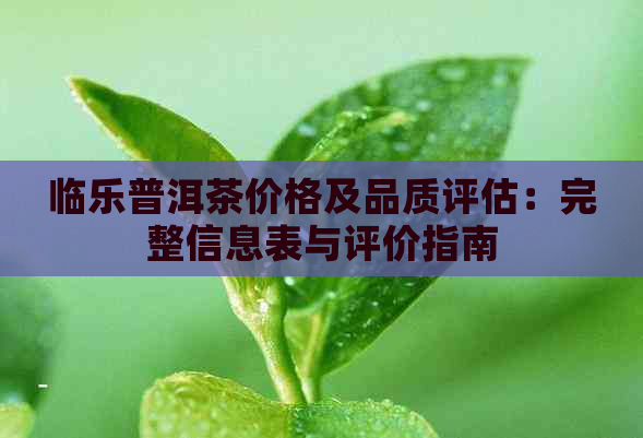 临乐普洱茶价格及品质评估：完整信息表与评价指南