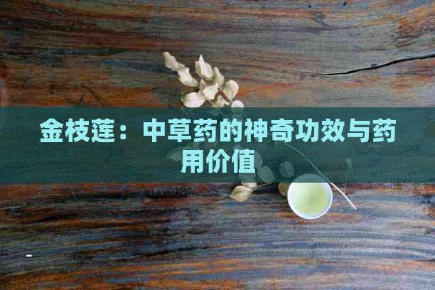 金枝莲：中草药的神奇功效与药用价值