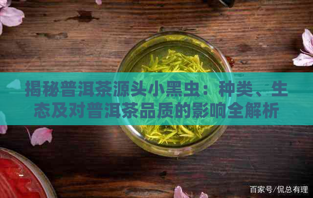 揭秘普洱茶源头小黑虫：种类、生态及对普洱茶品质的影响全解析