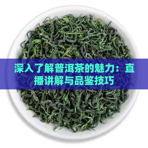 深入了解普洱茶的魅力：直播讲解与品鉴技巧