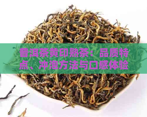 普洱茶黄印熟茶：品质特点、冲泡方法与口感体验详解