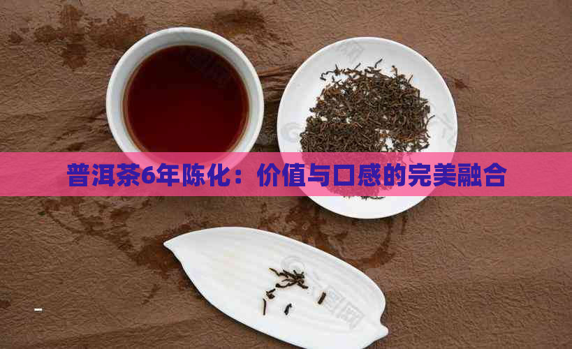 普洱茶6年陈化：价值与口感的完美融合