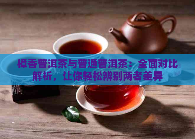 樟香普洱茶与普通普洱茶：全面对比解析，让你轻松辨别两者差异