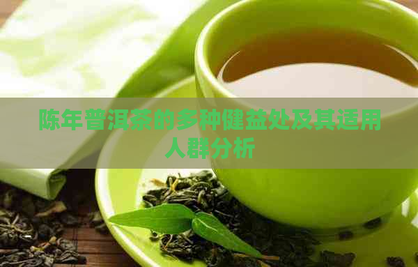 陈年普洱茶的多种健益处及其适用人群分析