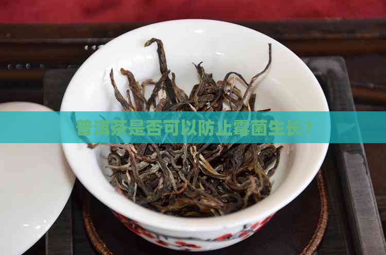 普洱茶是否可以防止霉菌生长？