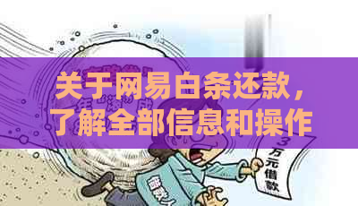 关于网易白条还款，了解全部信息和操作指南