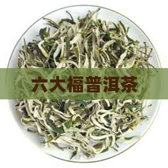 六大福普洱茶