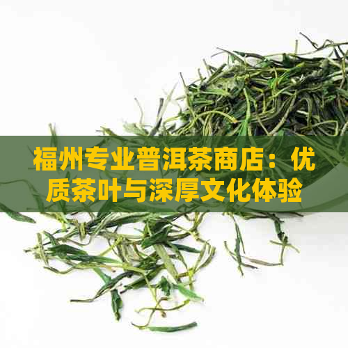 福州专业普洱茶商店：优质茶叶与深厚文化体验的完美融合