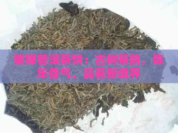 紫禅普洱茶饼：古树茶韵，陈年香气，品茗新境界