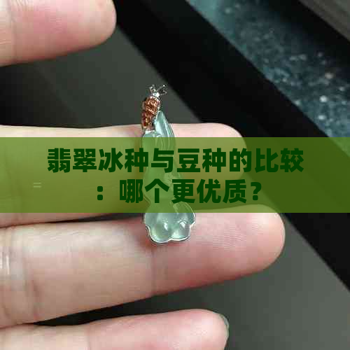 翡翠冰种与豆种的比较：哪个更优质？