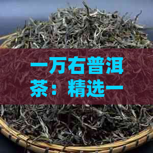 一万右普洱茶：精选一斤装，口感醇厚，品质上乘