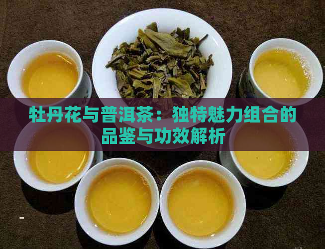 牡丹花与普洱茶：独特魅力组合的品鉴与功效解析