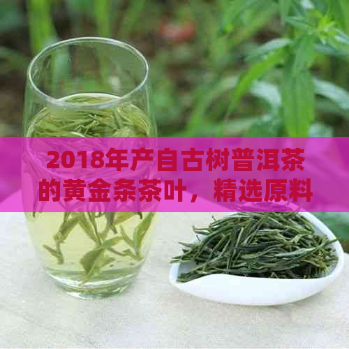 2018年产自古树普洱茶的黄金条茶叶，精选原料，醇厚口感，陈化潜力无限