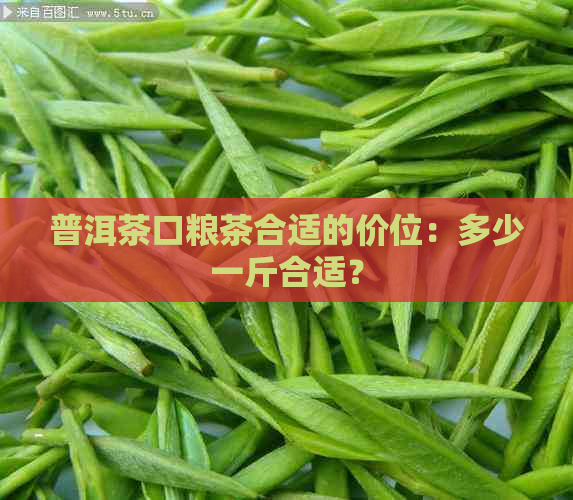 普洱茶口粮茶合适的价位：多少一斤合适？