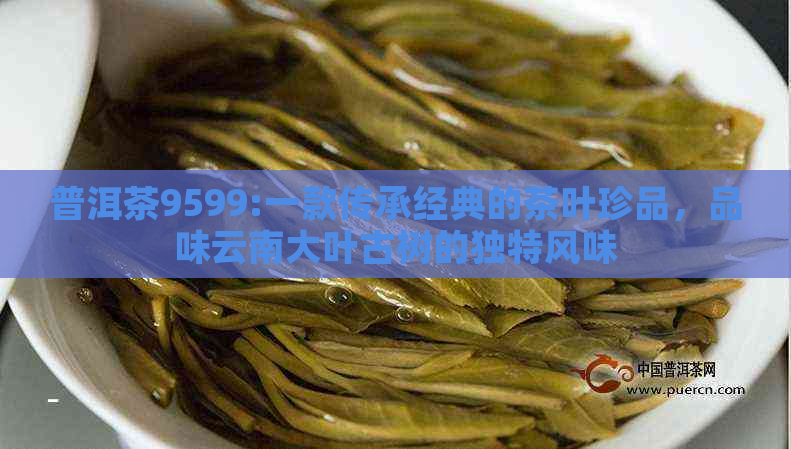 普洱茶9599:一款传承经典的茶叶珍品，品味云南大叶古树的独特风味