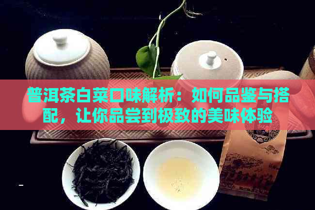 普洱茶白菜口味解析：如何品鉴与搭配，让你品尝到极致的美味体验