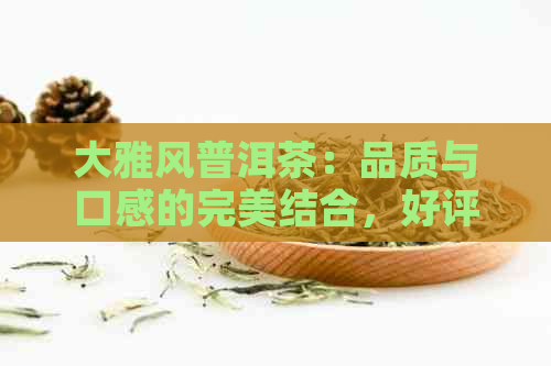 大雅风普洱茶：品质与口感的完美结合，好评如潮！