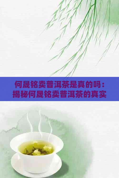 何晟铭卖普洱茶是真的吗：揭秘何晟铭卖普洱茶的真实情况