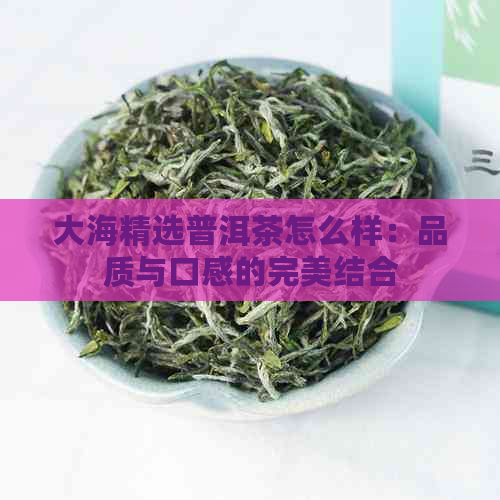 大海精选普洱茶怎么样：品质与口感的完美结合