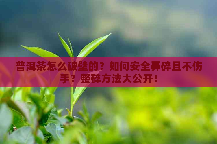 普洱茶怎么破壁的？如何安全弄碎且不伤手？整碎方法大公开！