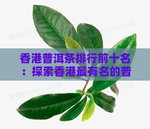 普洱茶排行前十名：探索最有名的普洱茶及十大普洱茶商