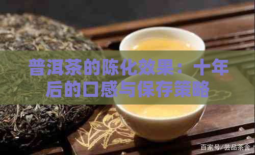 普洱茶的陈化效果：十年后的口感与保存策略