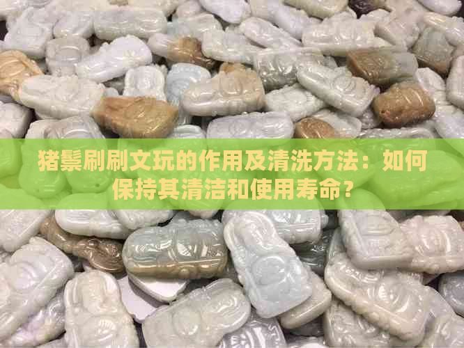 猪鬃刷刷文玩的作用及清洗方法：如何保持其清洁和使用寿命？