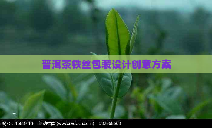 普洱茶铁丝包装设计创意方案