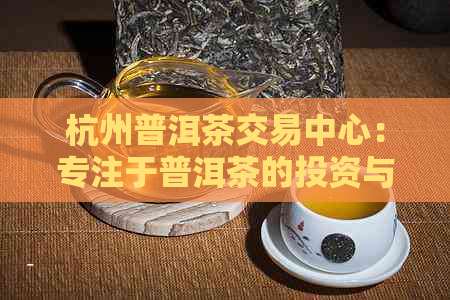 杭州普洱茶交易中心：专注于普洱茶的投资与交流，引领行业新风向