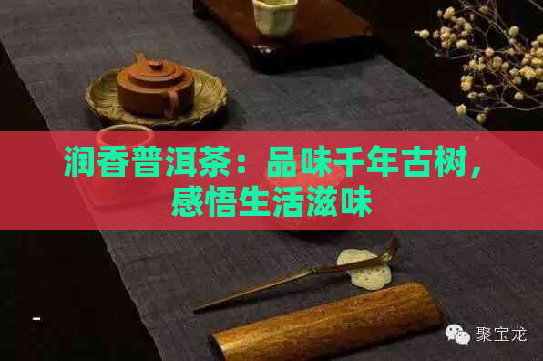 润香普洱茶：品味千年古树，感悟生活滋味