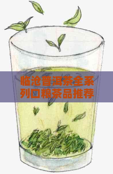 临沧普洱茶全系列口粮茶品推荐及选购指南，助您轻松挑选优质茶叶