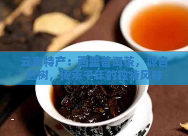 云南特产：西盟普洱茶，源自古树，传承千年的独特风味