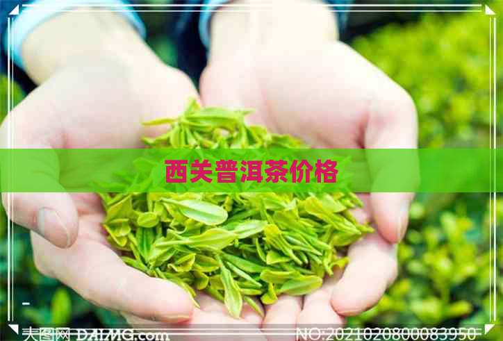 西关普洱茶价格