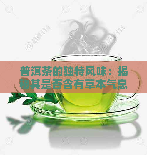 普洱茶的独特风味：揭秘其是否含有草本气息