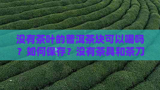 没有茶叶的普洱茶块可以喝吗？如何保存？没有茶具和茶刀怎么泡？