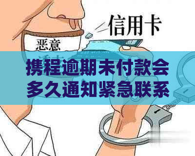 携程逾期未付款会多久通知紧急联系人？如何避免逾期并设置紧急联系人？