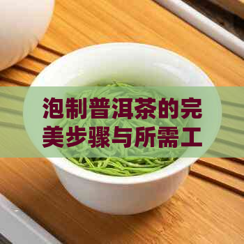 泡制普洱茶的完美步骤与所需工具：一份全面的指南