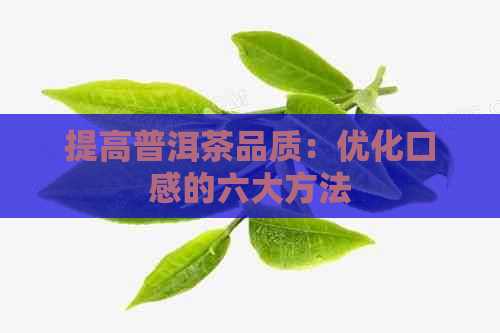 提高普洱茶品质：优化口感的六大方法