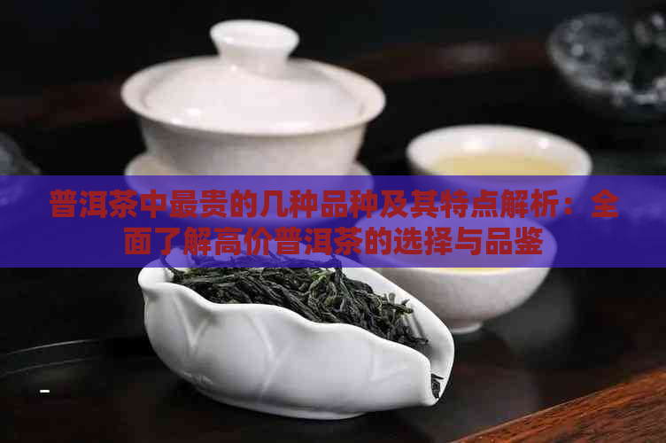 普洱茶中最贵的几种品种及其特点解析：全面了解高价普洱茶的选择与品鉴