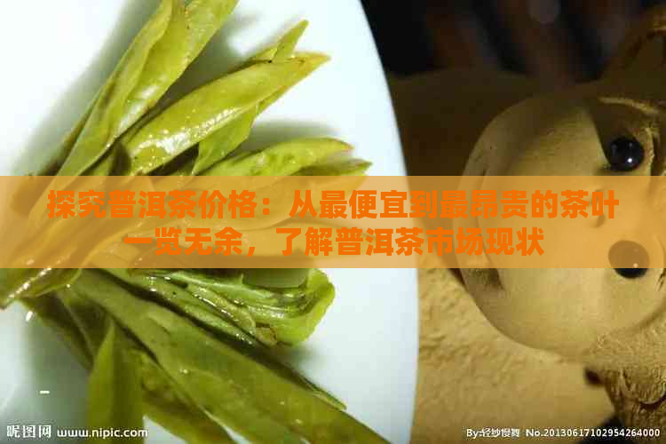 探究普洱茶价格：从更便宜到最昂贵的茶叶一览无余，了解普洱茶市场现状