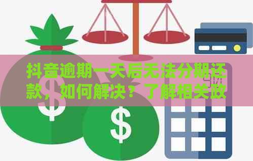 抖音逾期一天后无法分期还款，如何解决？了解相关政策和处理方法