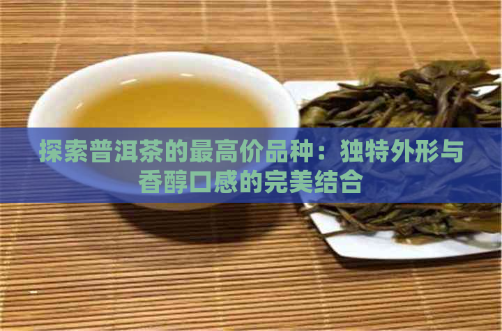 探索普洱茶的更高价品种：独特外形与香醇口感的完美结合