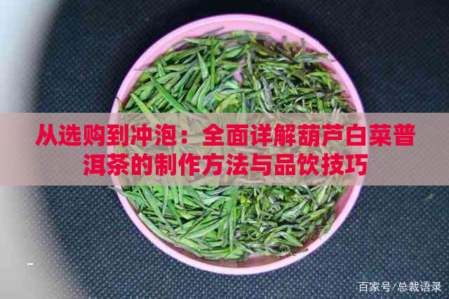 从选购到冲泡：全面详解葫芦白菜普洱茶的制作方法与品饮技巧